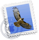 invitations